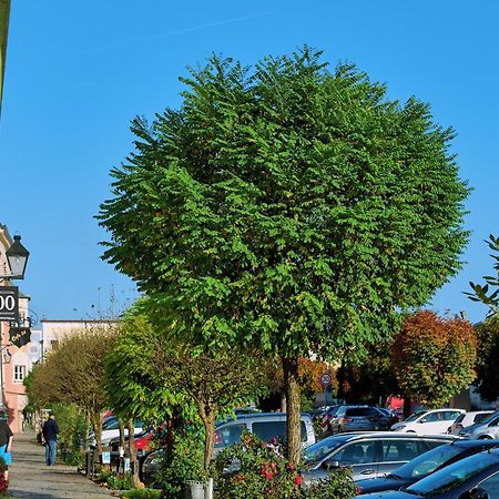 Ferienwohnung Tittmoning Zwischen Salzburg, Burghausen Und Oesterreich Exterior photo
